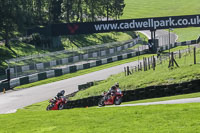 brands-hatch-photographs;brands-no-limits-trackday;cadwell-trackday-photographs;enduro-digital-images;event-digital-images;eventdigitalimages;no-limits-trackdays;peter-wileman-photography;racing-digital-images;trackday-digital-images;trackday-photos